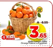 Orange Valencia Egyptian Per Kg