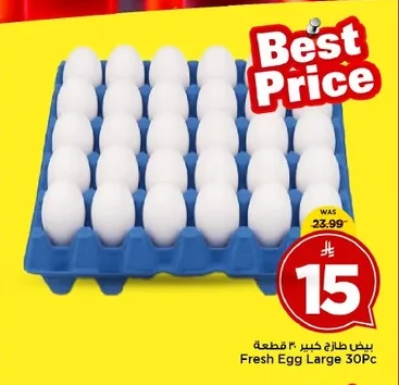 Fresh Egg Large