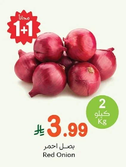 بصل احمر
