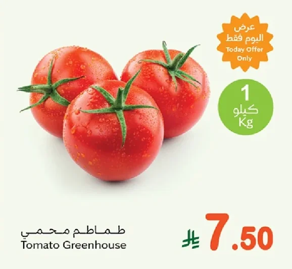 طماطم محمي
