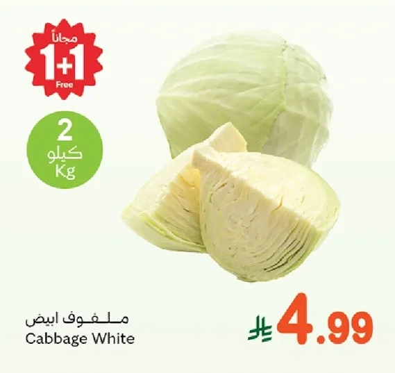 ملفوف ابيض