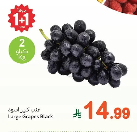 عنب كبير اسود
