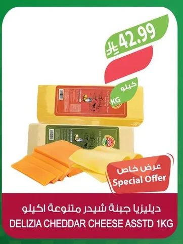 ديليزيا جبنة شيدر متنوعة اكيلو
