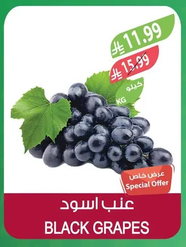 عنب اسود