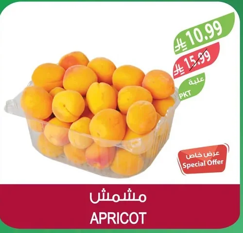 مشمش
