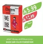 بيجن صبغة شعر بودرة