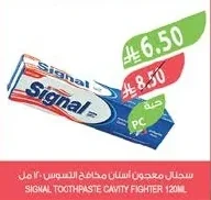 Signal Toothpaste Anti-Cavity