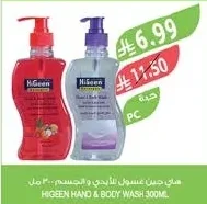 HIGEEN HAND & BODY WASH 300ML