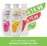 Enchanteur Shower Gel