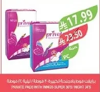 Private Maxi Pads with Wings