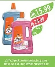 MR.MUSCLE MULTI PURPOSE CLEANER