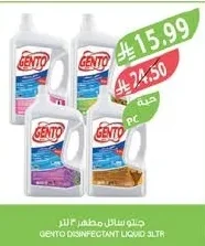 Gento Disinfectant Liquid