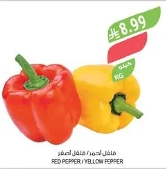 فلفل احمر / فلفل اصفر