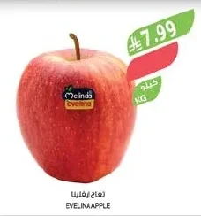 تفاح ايفيلينا