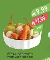 SYRIAN MIXED PICKLE