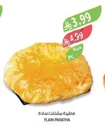 PLAIN PARATHA