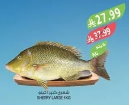 SHERRY LARGE 1KG
