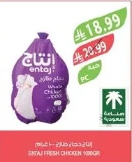 إنتاج دجاج طازج