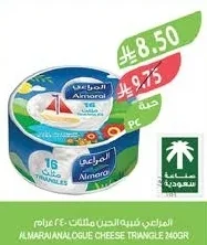 المراعي شبيهة الجبنة مثلثات