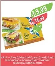 Cheese Slices (Burger/Sandwich/Emmental)
