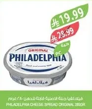 Cream Cheese Spread