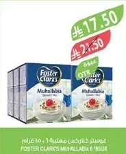 Custard Powder