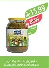 FINE GRAPE LEAVES