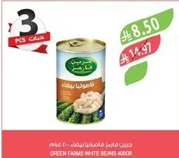فاصوليا بيضاء