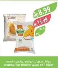 مونتانا / داري لب المانجو لب البودينج ١٠٠٠ جرام