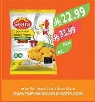 سيارا دجاج ناجت تمبورا