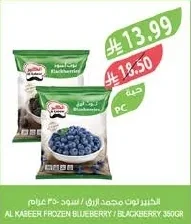 الكبير توت مجمد ازرق / اسود ٣٥٠ جرام