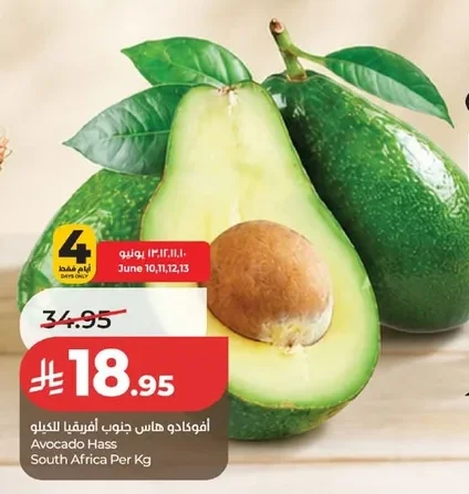 Avocado Hass South Africa