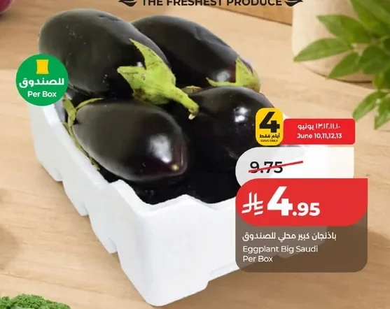 Eggplant Big Saudi Per Box
