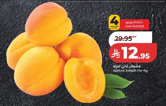 Apricot Jordan Per Kg
