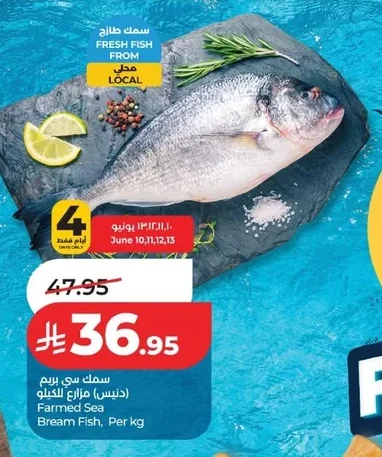 سمك سي بريم (دينس) مزارع