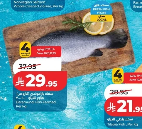 سمك باراموندي (قاروص)
