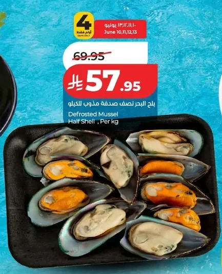 Defrosted Mussel Half Shell, Per kg