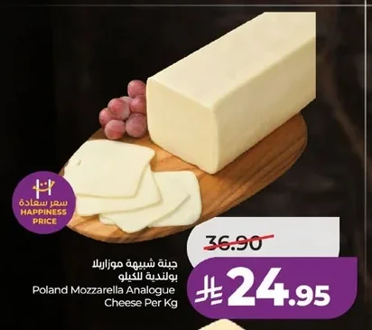 Poland Mozzarella Analogue Cheese Per Kg