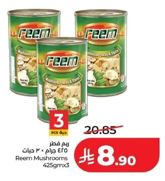 ريم فطر