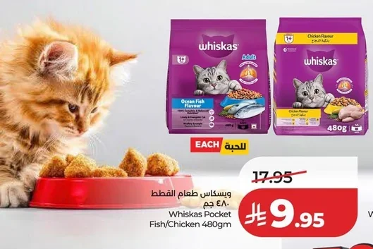 Cat Food