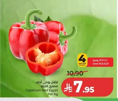 فلفل رومي أحمر مصري للكيلو