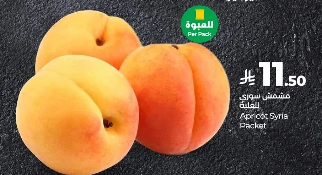 Apricot Syria