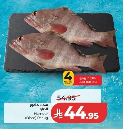 Hamour (Disco) Per Kg