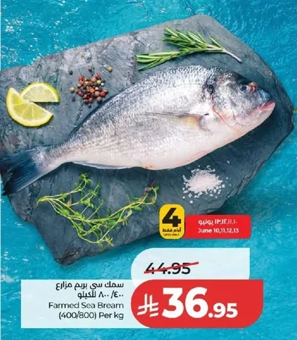 Farmed Sea Bream (400/800) Per Kg