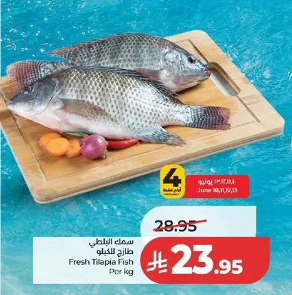 Fresh Tilapia Fish Per kg