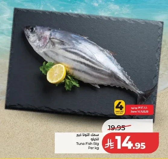 Tuna Fish Big Per kg