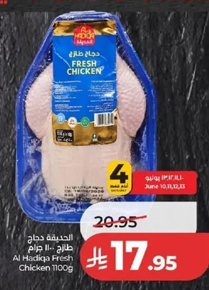 الحديقة دجاج طازج
