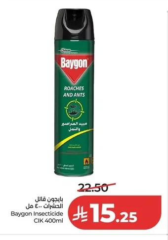 Baygon Insect Killer for Roaches and Ants