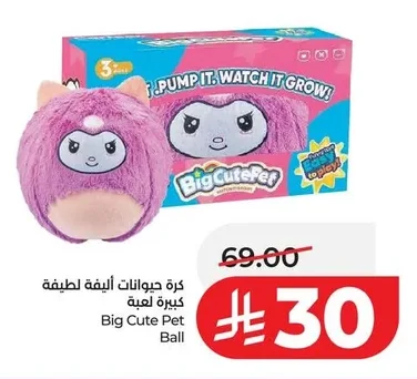 كرة حيوانات أليفة لطيفة كبيرة