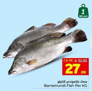 Barramundi Fish Per KG